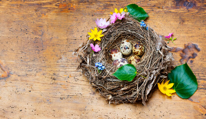 easter eggs in a nest - 765831238