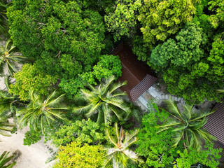 Aerial drone view small Koh Ma island, Ko Phangan Thailand. Exotic coast panoramic landscape, Mae Haad beach, summer day. Sandy path between corals. Vivid seascape, mountain coconut palms from above.