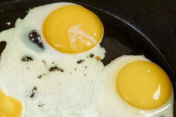 Scrambled eggs from two eggs are fried in a frying pan in oil close-up