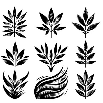bamboo leaf svg design icon set