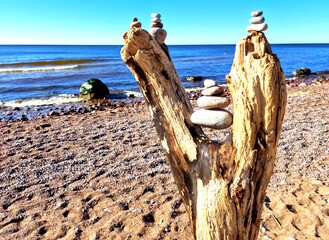 An amazing composition of stumps and stones on the shores of the Baltic Sea. - obrazy, fototapety, plakaty