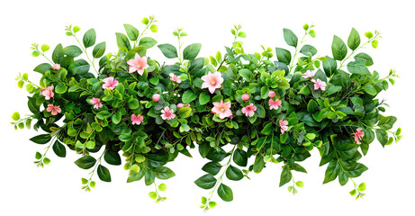 Lush green foliage with delicate pink flowers, cut out - obrazy, fototapety, plakaty