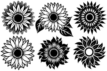 6-set-sunflowers-vector-illustration
