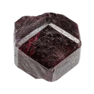 close up of sample of natural stone from geological collection - unpolished single rhodolite pyrope crystal isolated on white background from Irkutsk region