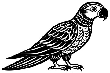Fototapeta na wymiar parrot-bird-vector-illustration
