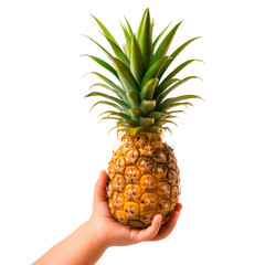 Pineapple in a child's hand isolated on a white or transparent background. Close-up of pineapple in hand, side view. Summer ripe fruits, a graphic design element.