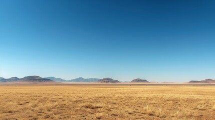 Fototapeta na wymiar The environment: A vast desert landscape under a clear blue sky
