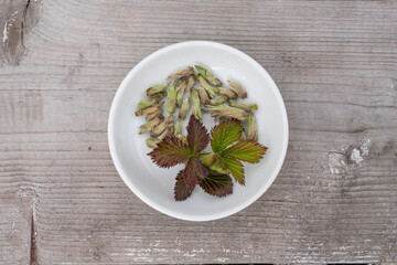 white bowl with buds and leaves of blackberry on a wooden background
