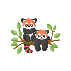 Red pandas on tree branches