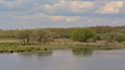 Spring mars landscape in Gentbrugse meersen nature reserve, Ghent, Flanders, Belgium