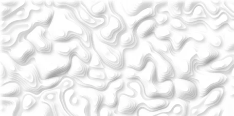 Fotobehang 3D Papercut Stylized White topographic contour scheme and terrain. Topography grid map. Contour map background. Geographic line mountain relief. Abstract lines or wavy backdrop background. © Phenomena
