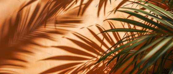 The interplay of light and shadow from tropical palm leaves crea