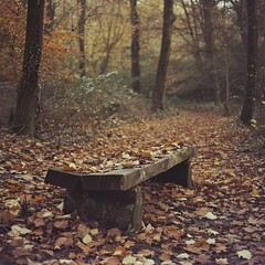 Wooden sleeper transformed into a cozy bench, surrounded by autumn leaves in a woodland setting. The scene embraces the harmony between nature and human creation.