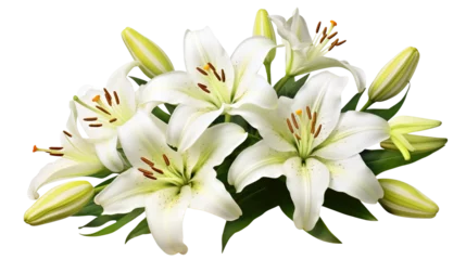 Foto op Aluminium Elegant blooming lilies with buds, cut out © Yeti Studio