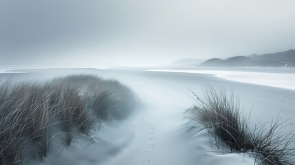 Minimalist landscape photography, capturing nature