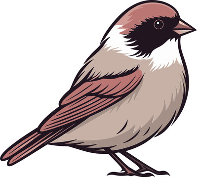 Cheerful Sparrow Vector Image
