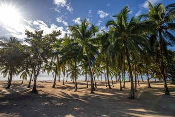 Romantic Caribbean sandy beach with palm trees, turquoise sea. Morning landscape shot at sunrise at...