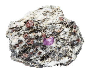 close up of sample of natural stone from geological collection - ruby crystals in unpolished gneiss rock isolated on white background from Karelia