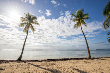 Romantic Caribbean sandy beach with palm trees, turquoise sea. Morning landscape shot at sunrise at...