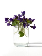 fragrant sweet violets  flowers close up - 765865095