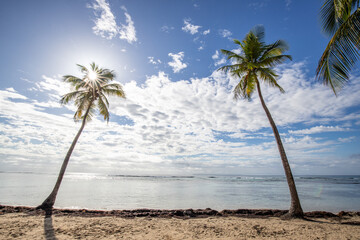 Romantic Caribbean sandy beach with palm trees, turquoise sea. Morning landscape shot at sunrise at...