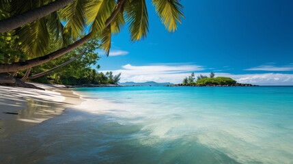 Beautiful tropical beach with palm trees and turquoise sea and sunlight