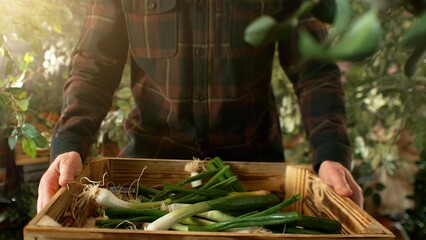 Closeup of Farmer Holding Wooden Crate with Spring Onions.