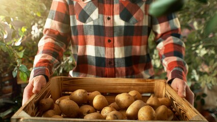 Closeup of Farmer Holding Wooden Crate with Potatoes.