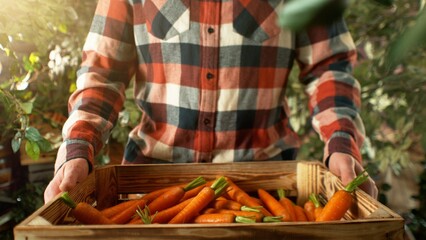 Closeup of Farmer Holding Wooden Crate with Carrots.