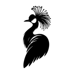 Umbrella Bird Silhouette - Exotic Avian Species with Crest on White Background