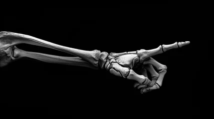 Fotobehang Skeletal hand illustration with extended finger, concept of anatomy, direction, and human biology © Exotic Escape