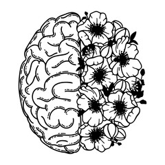 Cerebral hemispheres, human realistic brain with flowers. Brain, mental health, logic and emotion priority concept