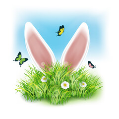 White rabbit ears sticking out of the grass. Spring landscape with blue sky. Cute cartoon spring easter design