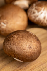 fresh brown mushrooms for cooking, edible