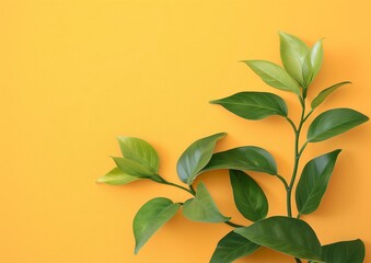 Fototapeta na wymiar Fresh Green Plant Leaves on Vibrant Yellow Background for Spring Concept