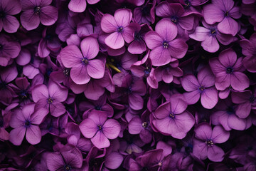 purple flowers, top view, background сreated with Generative Ai - obrazy, fototapety, plakaty
