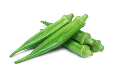 オクラのイラスト リアル