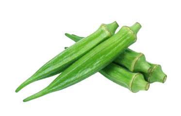 オクラのイラスト リアル