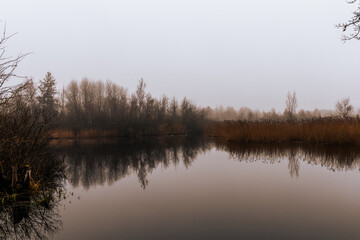 A lake surrounded by tall grass and trees under a cloudy sky.