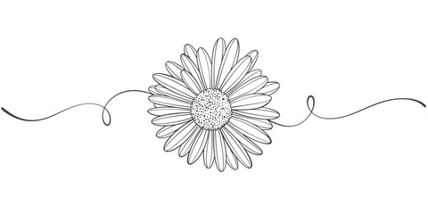 Daisy flower line art style vector illustration