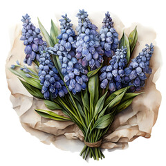 Obraz premium bouquet of hyacinths