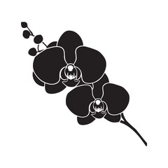 Orchid Vector Art Silhouette Illustration