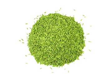 heap of dried organic green fennel seeds also known in india as valiyari mouth freshener or Saunf...