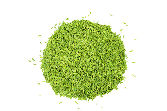heap of dried organic green fennel seeds also known in india as valiyari mouth freshener or Saunf herb isolated in cutout transparent background,png format,top view 