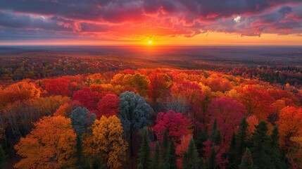 A sunset as seen from the top of a forest, we see the too of many different color trees, blue trees, red trees, orange trees, green trees, we see trees also in the foreground, generated with AI