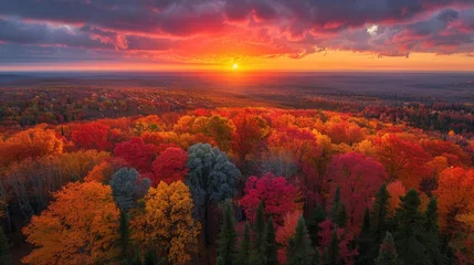 Foto op Canvas A sunset as seen from the top of a forest, we see the too of many different color trees, blue trees, red trees, orange trees, green trees, we see trees also in the foreground, generated with AI © sch_ai