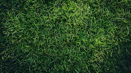 Papier Peint photo autocollant Herbe Green grass texture for background. green lawn pattern and texture background.