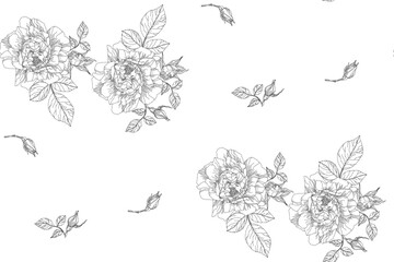 Pattern of flowers and rose leaves in vintage style on a transparent background