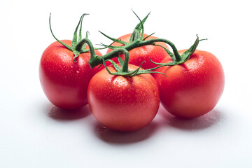 Tomate holandês em fundo  isolado e colorido