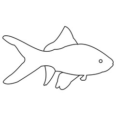 ornamental fish icon